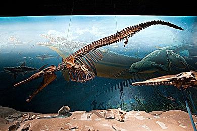 德勤数据统计显示：45%的玩家想要更多影视改编游戏