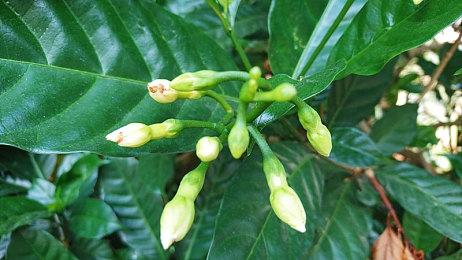 《艾尔登法环》无用之人与前作对比 更性感更有魅力